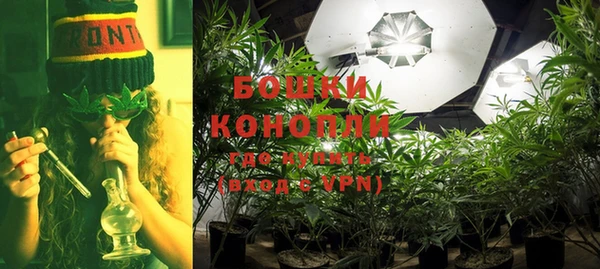 гидра Балахна