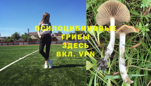 MESCALINE Баксан