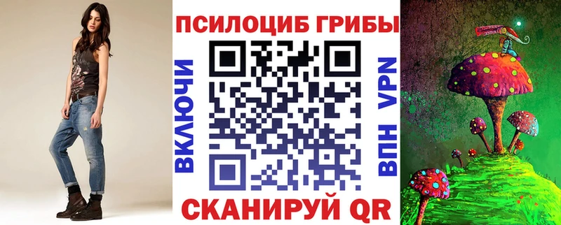 магазин    Дальнегорск  площадка какой сайт  Галлюциногенные грибы MAGIC MUSHROOMS 